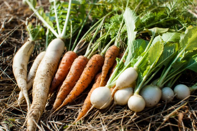 農家民宿　ふうらいぼう